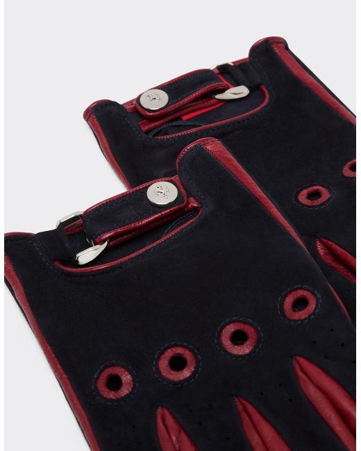 Ferrari Blue Suede Driving Gloves for men