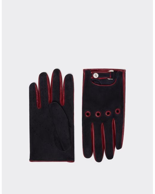 Ferrari Blue Suede Driving Gloves for men