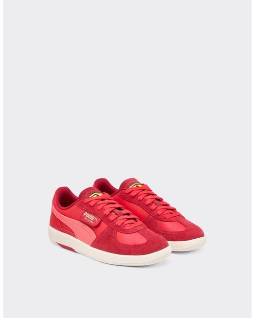 Ferrari Red Puma For Scuderia Palermo Trainers