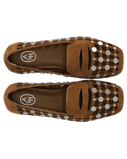 Ash Brown Bali Ballet Flat Shoe