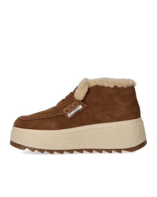 Ash Brown Magic Brauner Sneaker