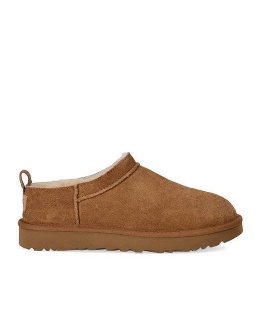 Ugg Brown Classic Micro Chestnut Stiefel