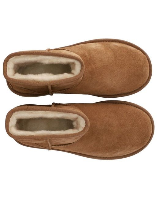 Ugg Brown Classic Mini Platform Chestnut Boot