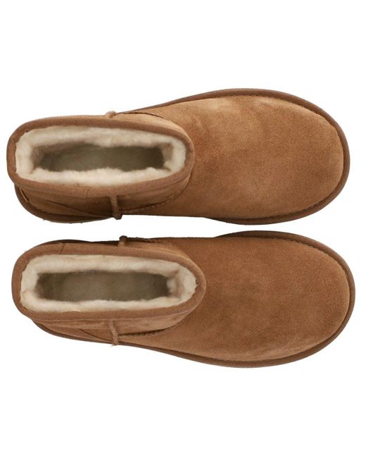 Ugg Brown Classic Mini Platform Chestnut Stiefel