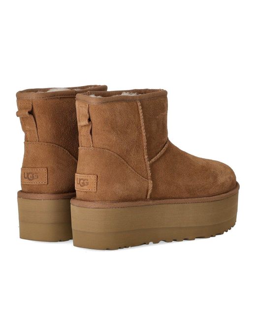 Ugg Brown Classic Mini Platform Chestnut Stiefel