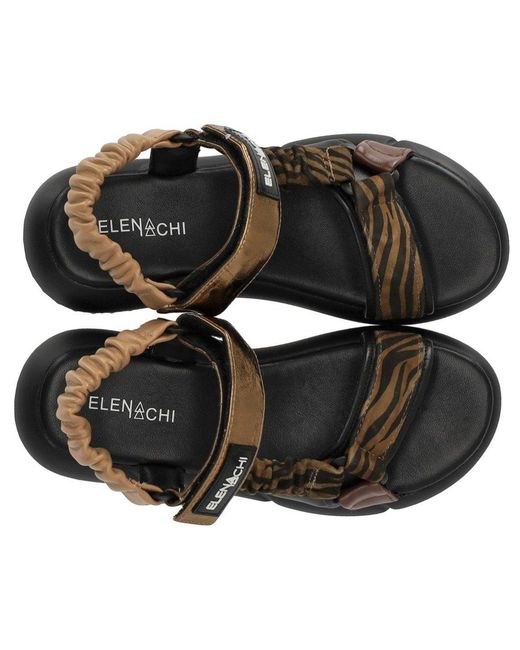 Elena Iachi Brown Zebra Sandal