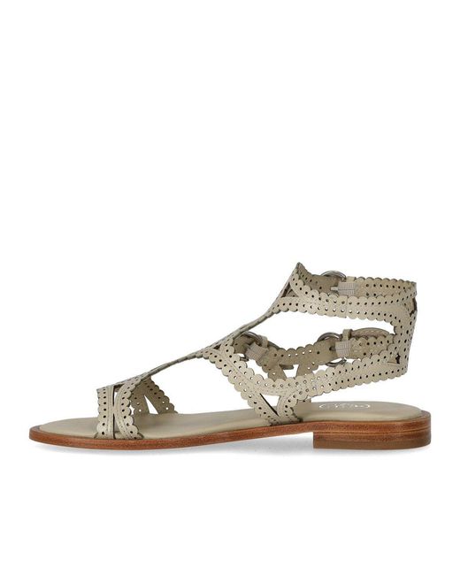 Ash White Paprika Talc Flat Sandal