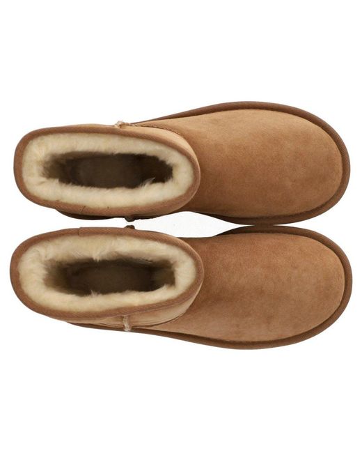 Ugg Brown Classic Short Ii Chestnut Boot