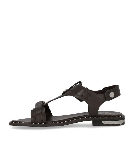 Ash Brown Piper Dark Flat Sandal