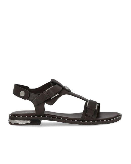 Ash Brown Piper Dark Flat Sandal