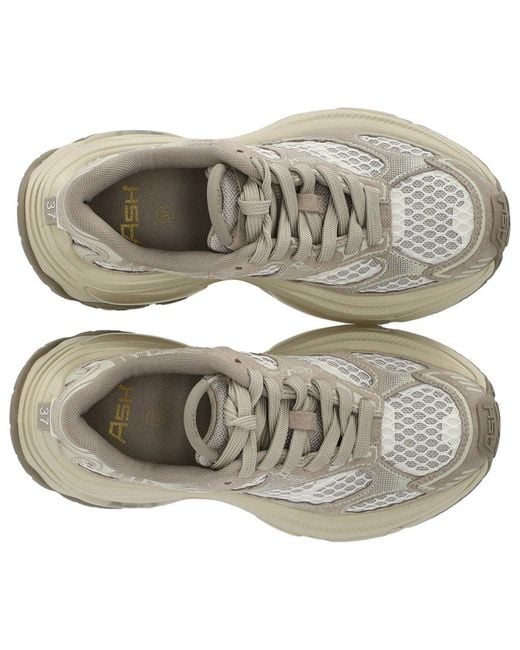 Ash Gray Dragon Sneaker