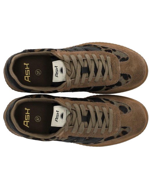 Ash Brown Sunset Animal Print Sneaker