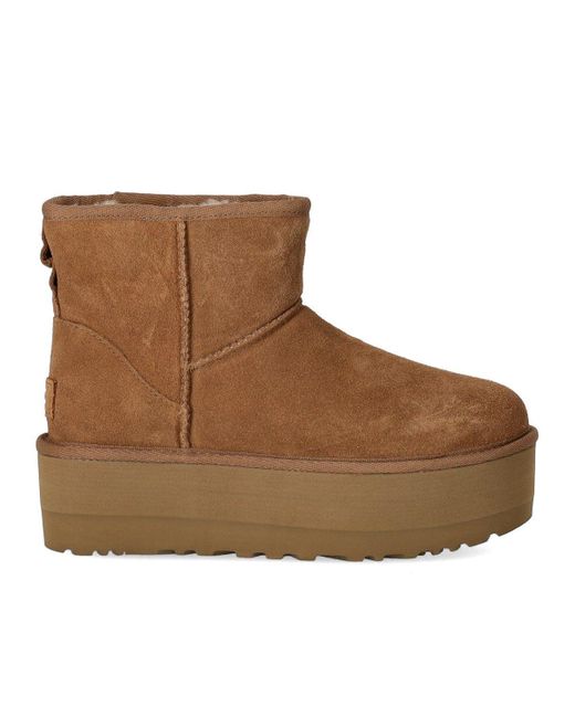 Ugg Brown Classic Mini Platform Chestnut Stiefel
