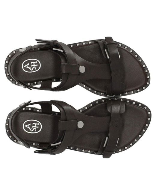 Ash Brown Piper Dark Flat Sandal