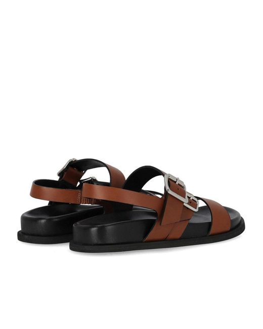 Guglielmo Rotta Brown Tours Flat Sandal