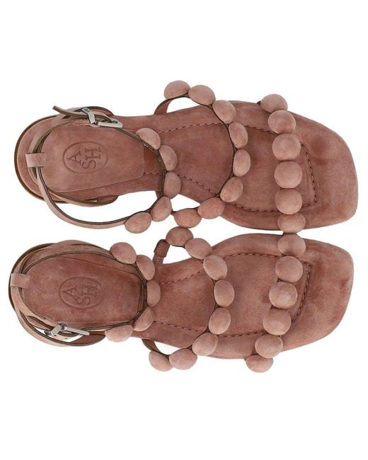 Ash Brown Regy Flat Sandal