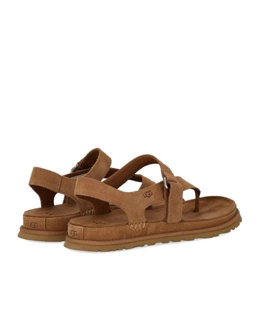 Ugg Brown Goldengaze Toe Post Chestnut Sandal