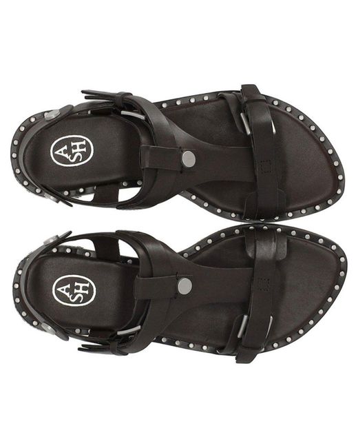 Ash Brown Piper Dark Flat Sandal