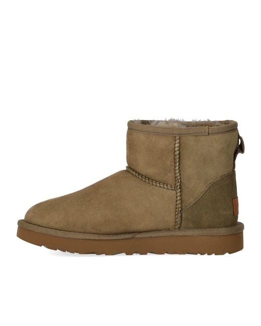 Stivale Classic Mini Ii Antilope di Ugg in Brown