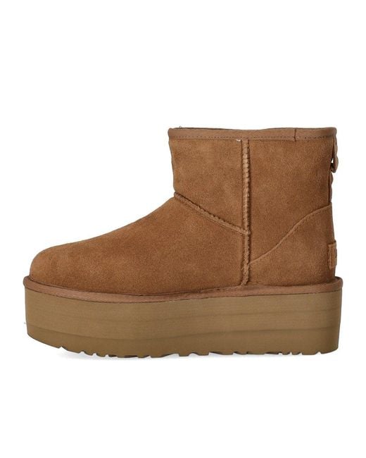 Ugg Brown Classic Mini Platform Chestnut Boot