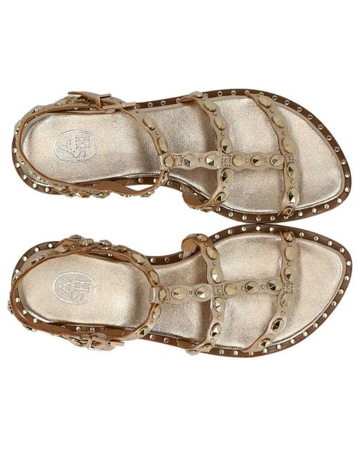 Ash Brown Plus Flat Sandal