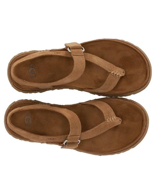 Ugg Brown Goldengaze Toe Post Chestnut Sandal