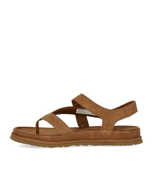 Ugg Brown Goldengaze Toe Post Chestnut Sandal