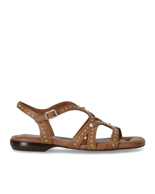 Ash Brown Ruby Braune Flache Sandale