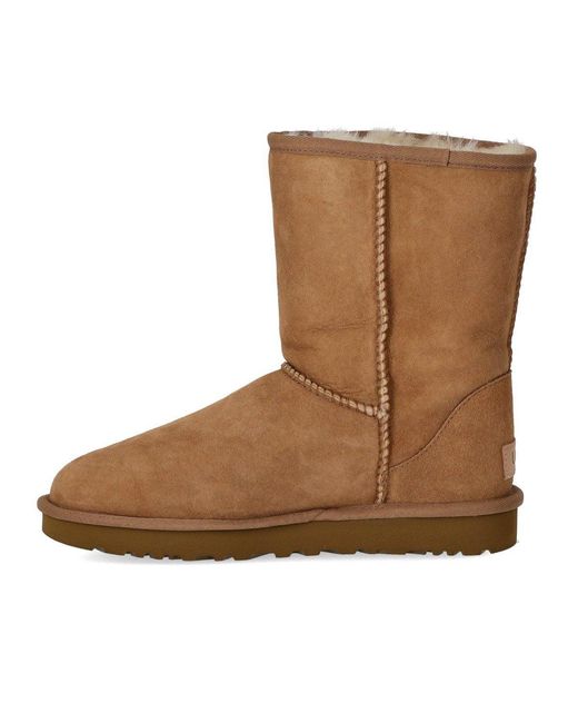 Ugg Brown Classic Short Ii Chestnut Boot