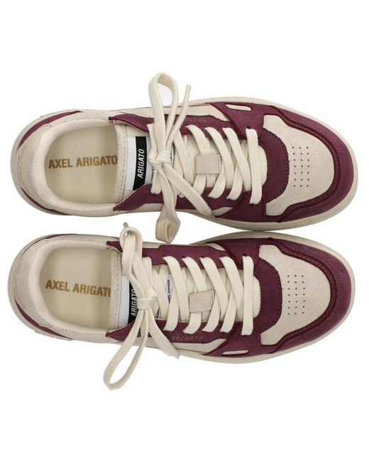 Axel Arigato Brown Dice Lo Burgundy Sneaker