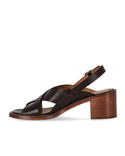Guglielmo Rotta Brown Glyde Chocolate Heeled Sandal