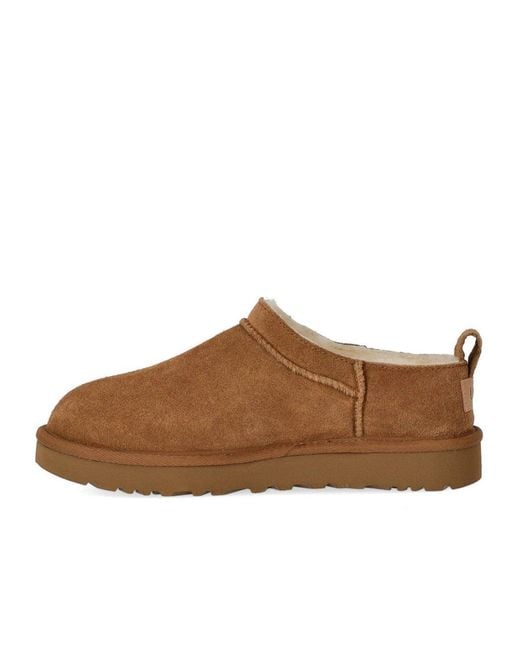 Ugg Brown Classic Micro Chestnut Stiefel