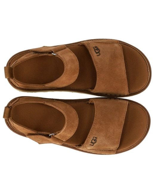 Ugg Brown Goldenstar Chestnut Sandal