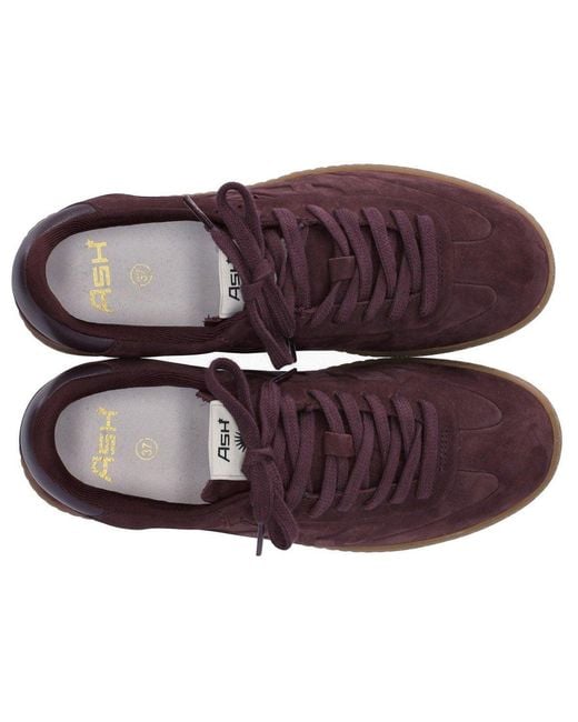 Ash Brown Siena Burgundy Sneaker