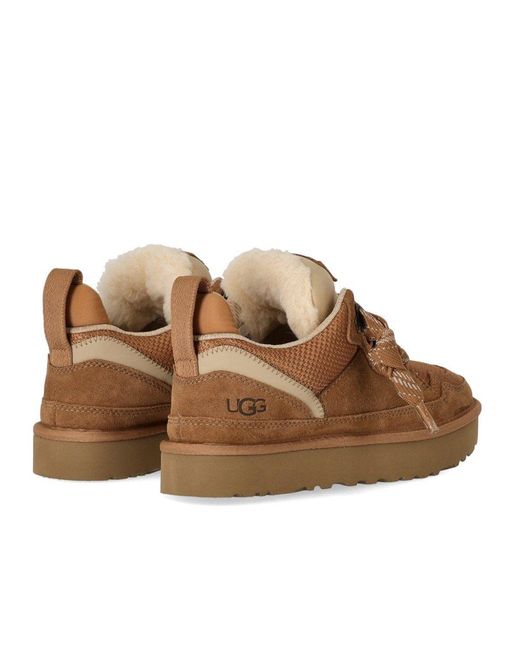 Ugg Brown Sneaker Lowmel Chestnut