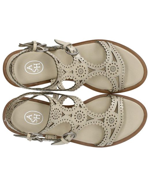 Ash White Paprika Talc Flat Sandal