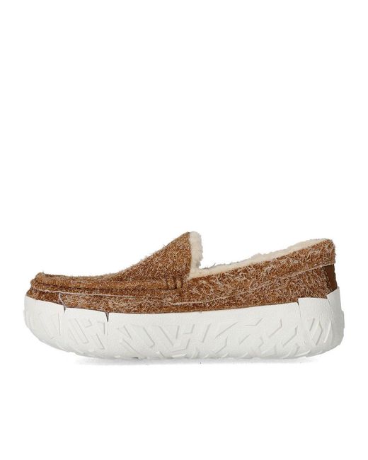 Ugg Brown Ascot Vibram Wrap Tech Chestnut Loafer for men
