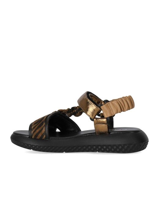 Elena Iachi Brown Zebra Sandal