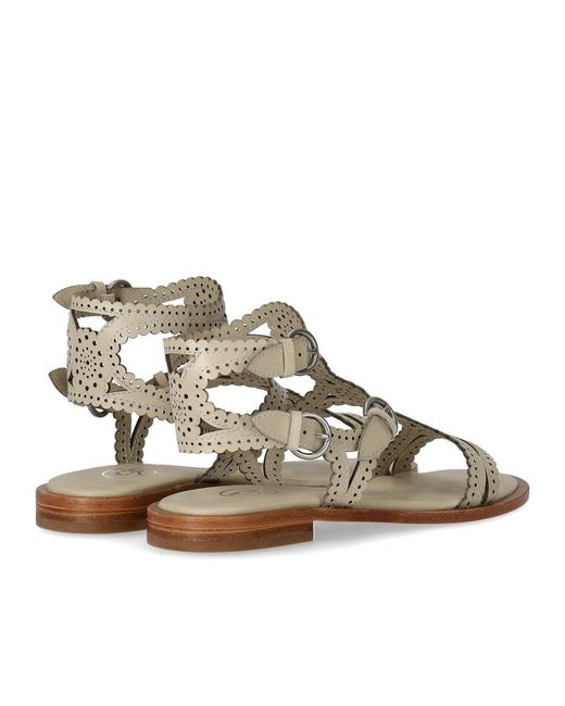 Ash White Paprika Talc Flat Sandal