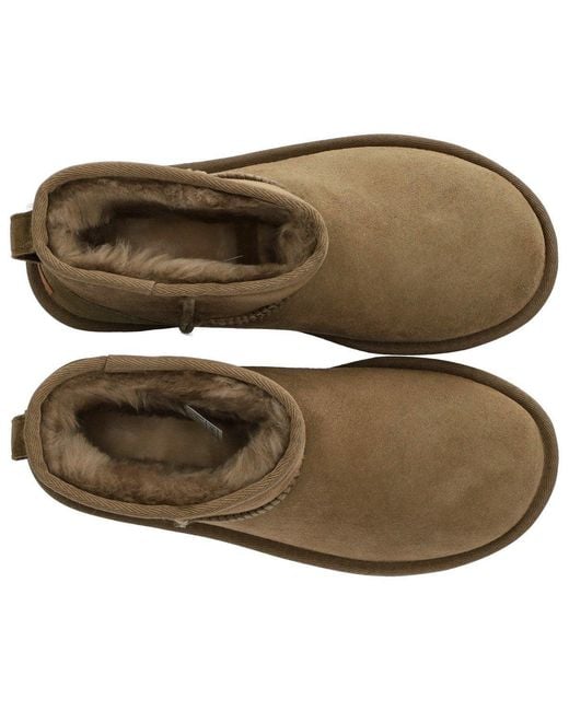 Stivale Classic Mini Ii Antilope di Ugg in Brown
