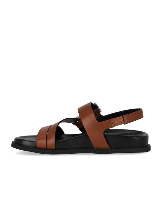Guglielmo Rotta Brown Tours Flat Sandal