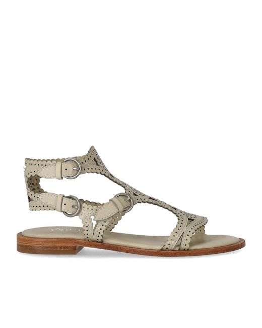 Ash White Paprika Talc Flat Sandal