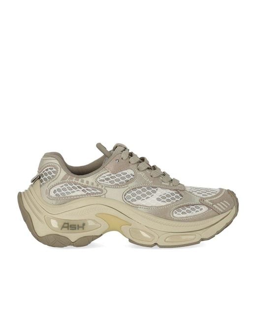 Ash Gray Dragon Sneaker