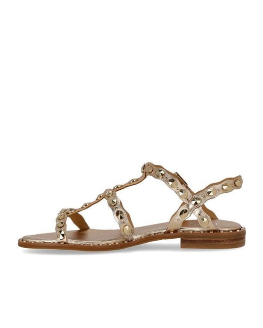 Ash Brown Plus Flat Sandal