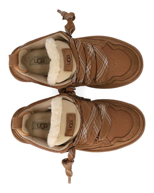 Ugg Brown Sneaker Lowmel Chestnut