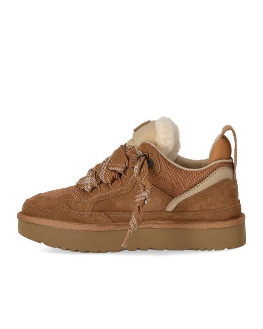 Ugg Brown Sneaker Lowmel Chestnut