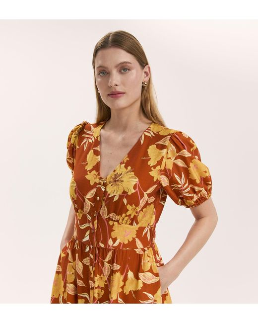 Finery London Multicolor Addison Button Through Midi Dress