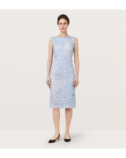 Finery London Blue Ellison Lace Dress