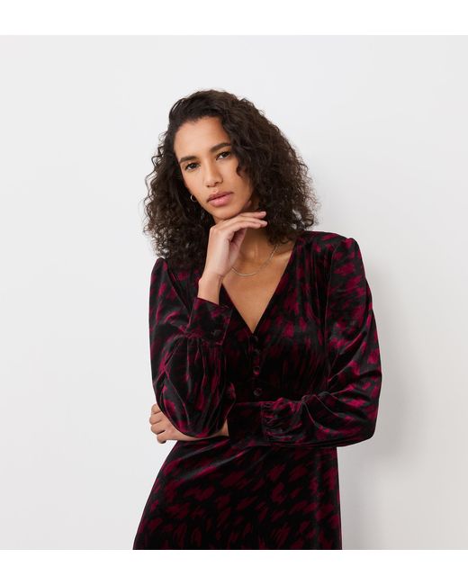 Finery London Red Layla Velvet Midi Dress