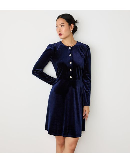 Finery London Blue Rae Velvet Knee Length Dress